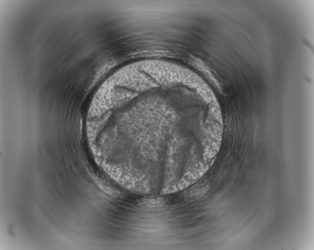 X0000095880110200802081104