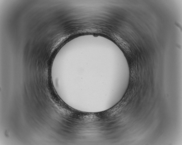 X0000095880112200802081104