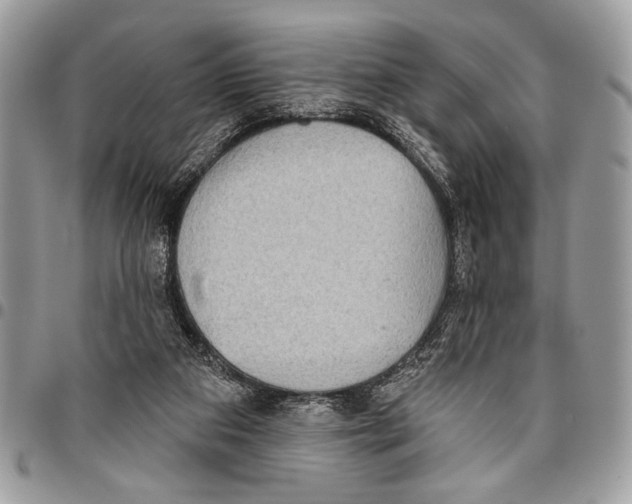 X0000095880113200802081104