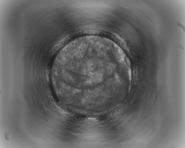 X0000095880114200802081104