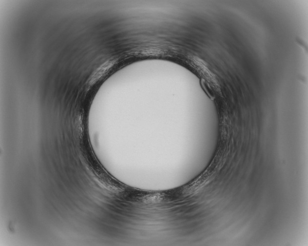 X0000095880116200802081104