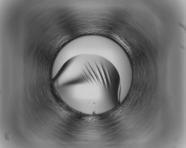 X0000095880117200802081104