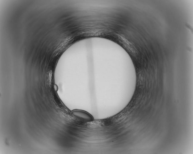 X0000095880118200802081104