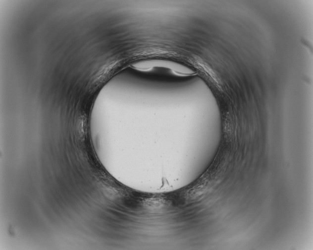 X0000095880119200802081104