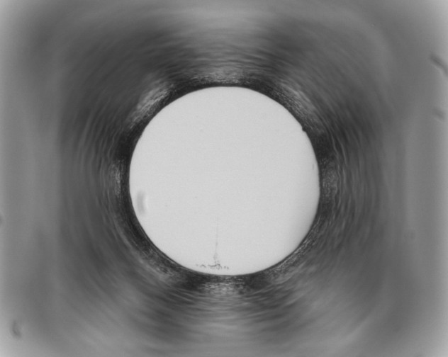 X0000095880120200802081104