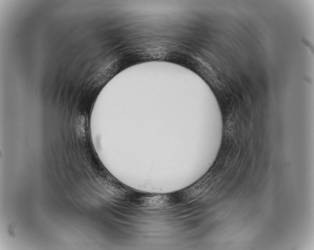 X0000095880122200802081104