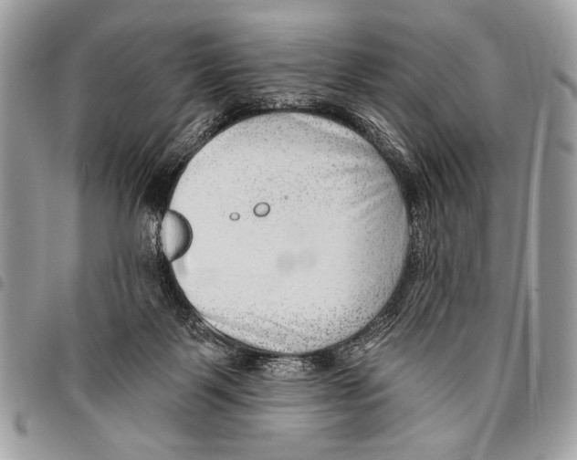 X0000095880123200802081104