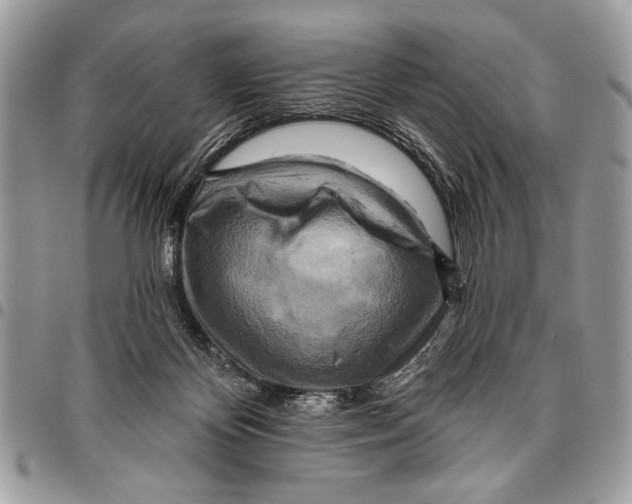 X0000095880124200802081104