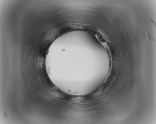 X0000095880125200802081104