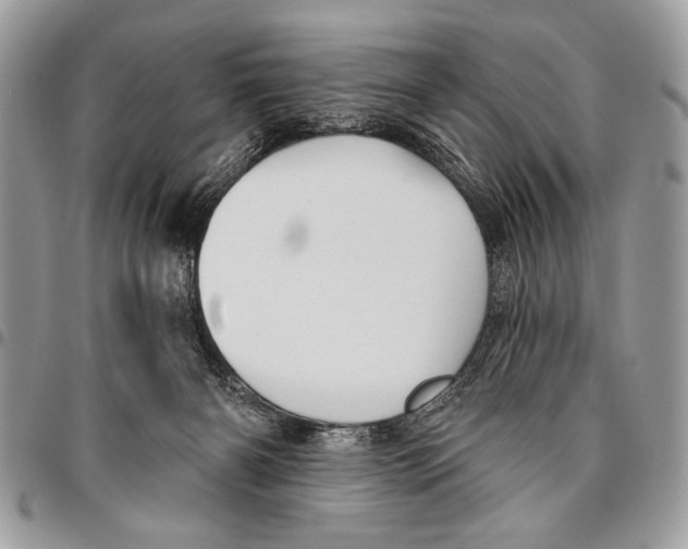 X0000095880126200802081104