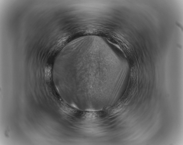 X0000095880127200802081104