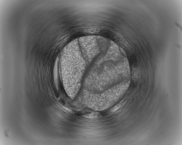 X0000095880128200802081104