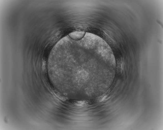 X0000095880130200802081104