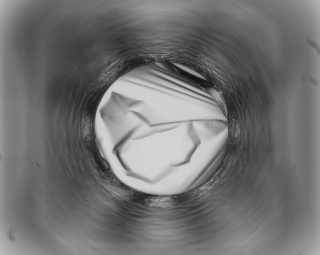 X0000095880132200802081103