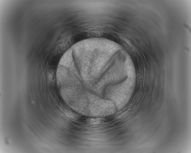 X0000095880134200802081103