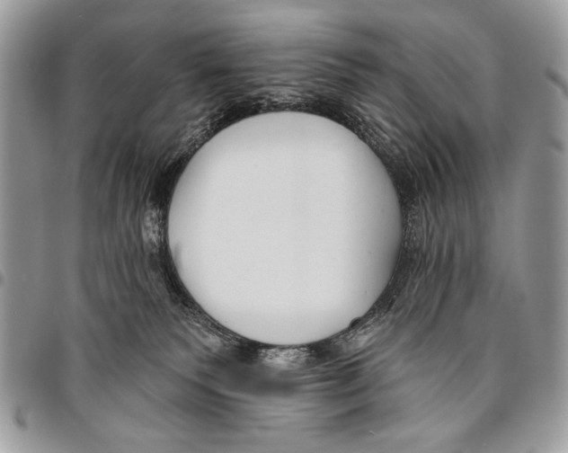 X0000095880135200802081103