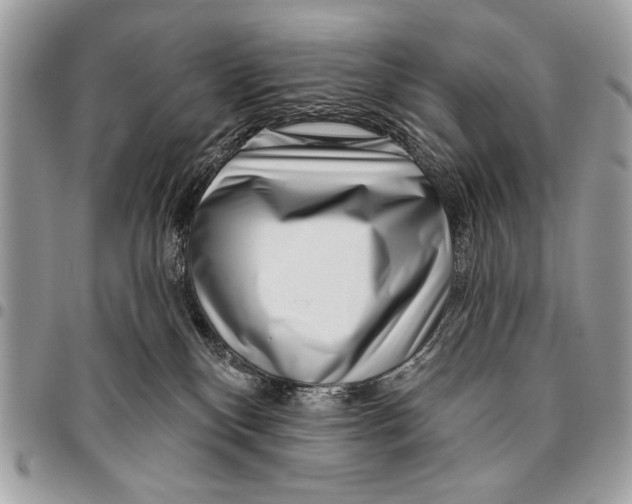 X0000095880136200802081103