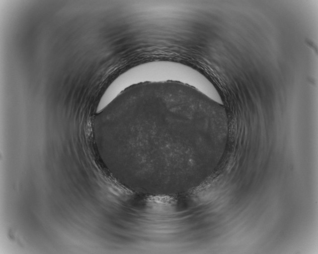 X0000095880137200802081103