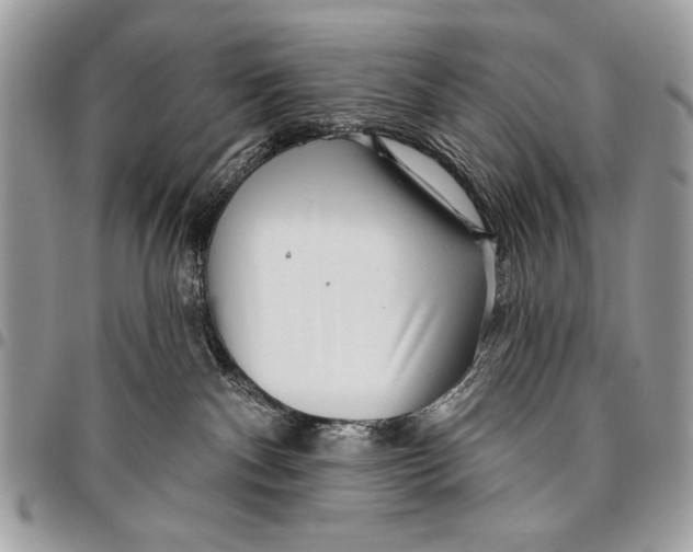 X0000095880140200802081103