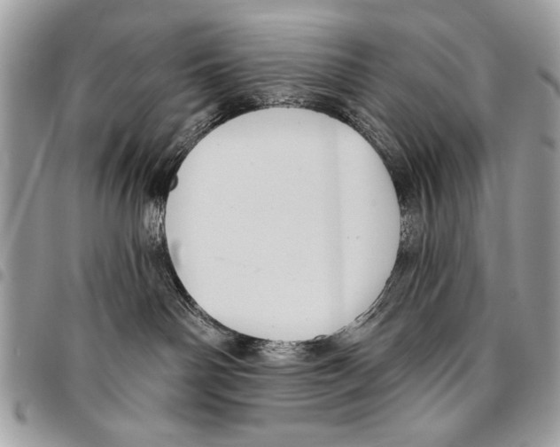 X0000095880142200802081103