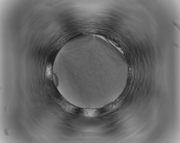 X0000095880143200802081103