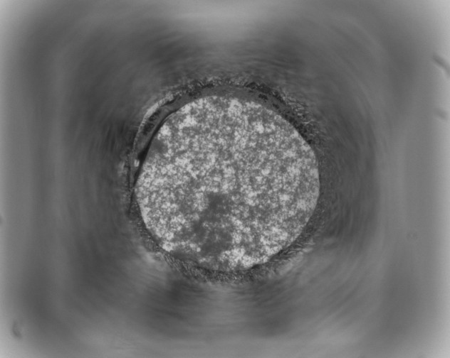 X0000095880144200802081103