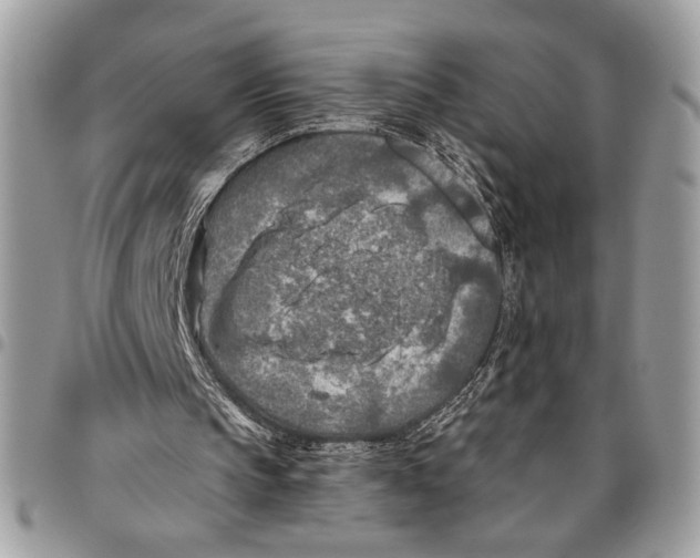 X0000095880145200802081103