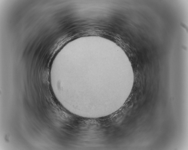 X0000095880146200802081103