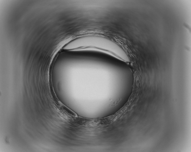 X0000095880148200802081103