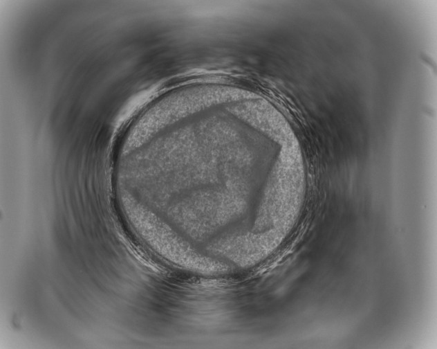 X0000095880149200802081103