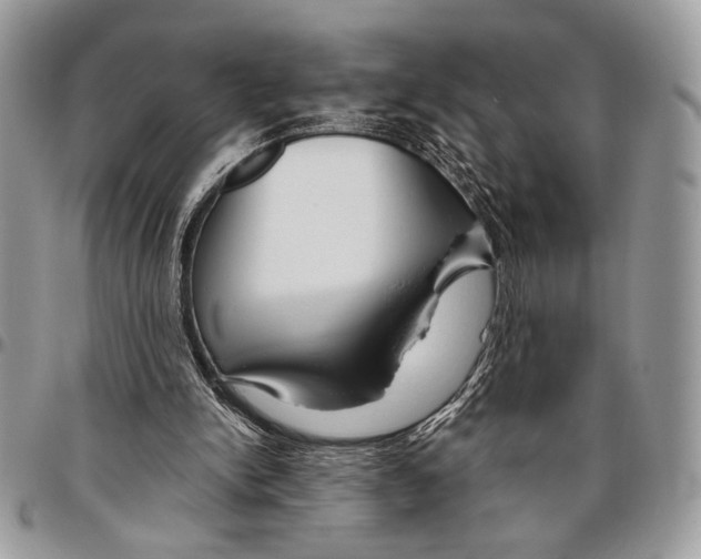 X0000095880150200802081103