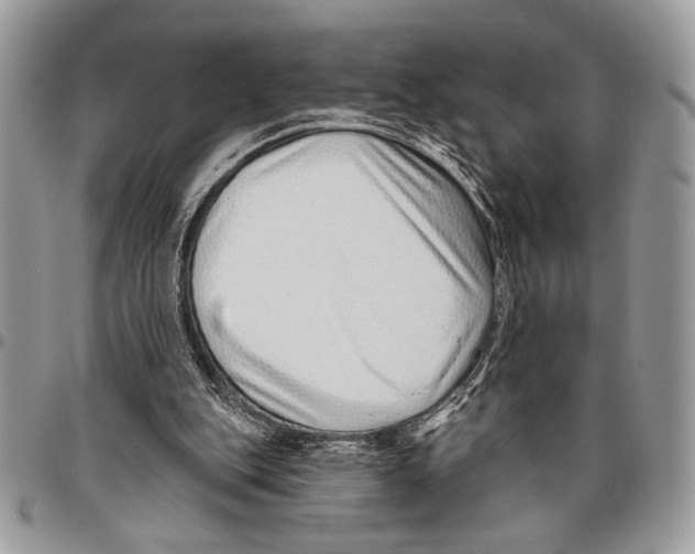 X0000095880151200802081103