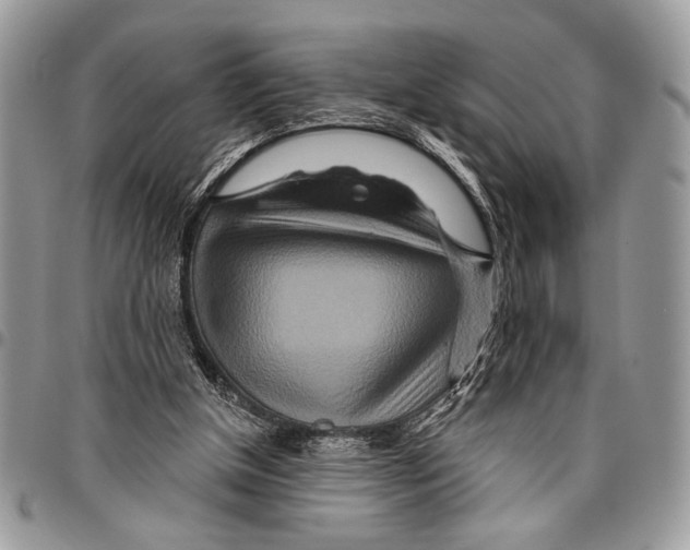 X0000095880154200802081103