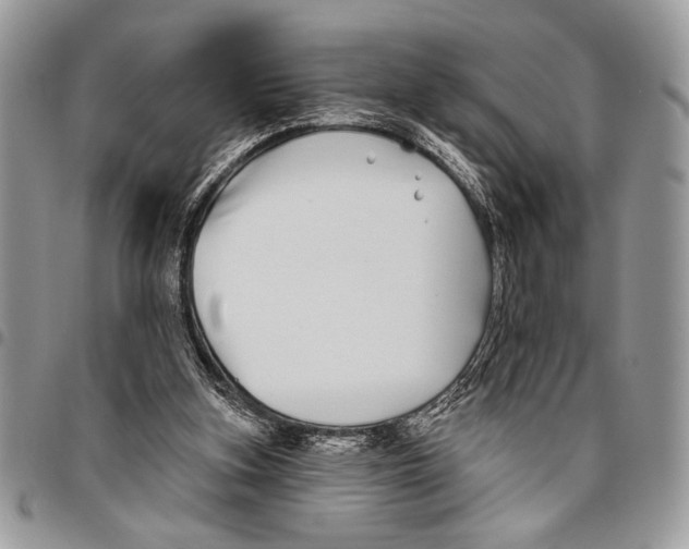 X0000095880155200802081103