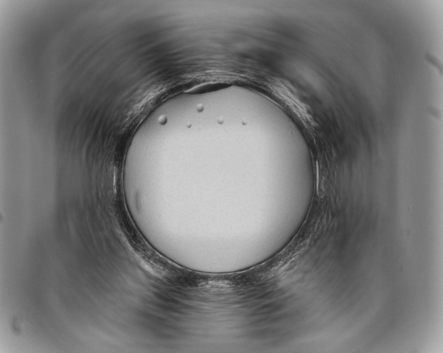 X0000095880157200802081103