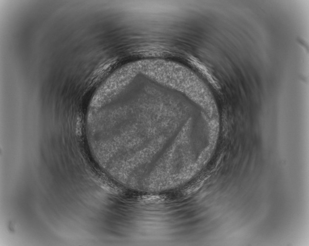 X0000095880161200802081103