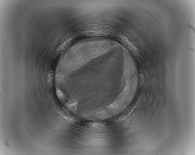 X0000095880165200802081103