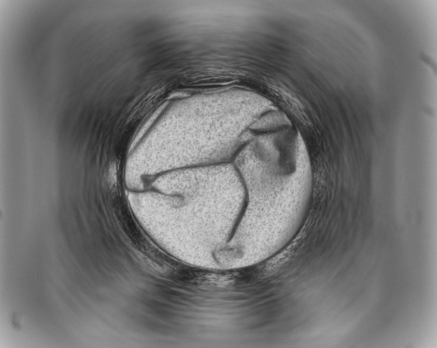 X0000095880166200802081103