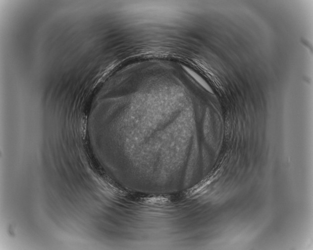 X0000095880168200802081103