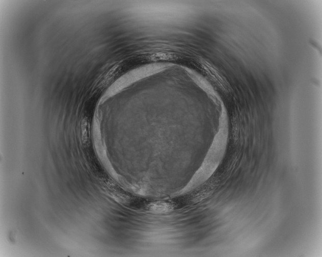 X0000095880169200802081103