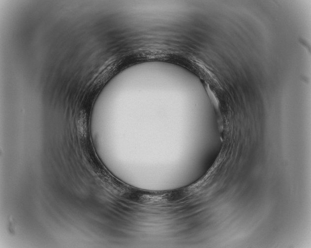 X0000095880170200802081103