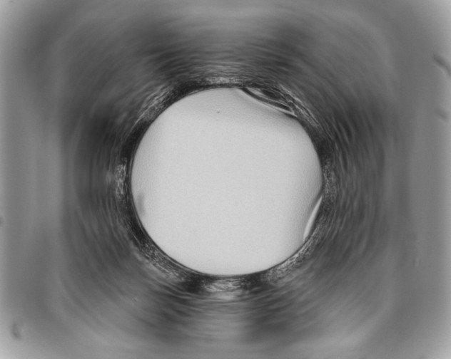 X0000095880171200802081103