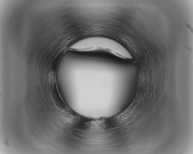 X0000095880172200802081103