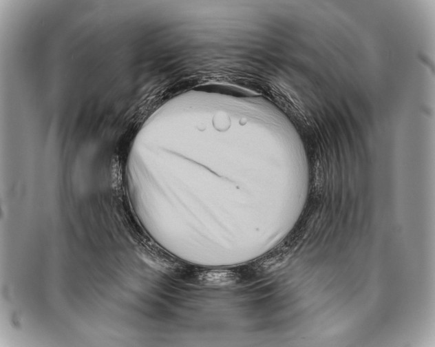 X0000095880173200802081103