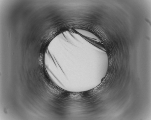 X0000095880175200802081103