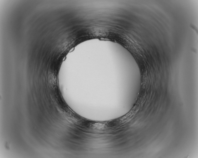 X0000095880176200802081103