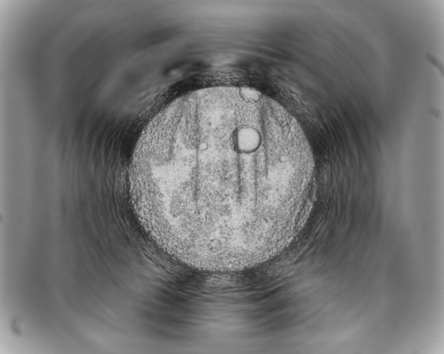 X0000095880177200802081103