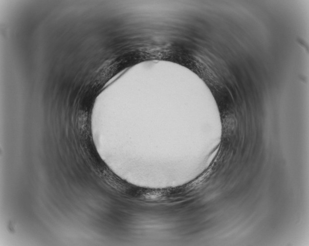 X0000095880178200802081103