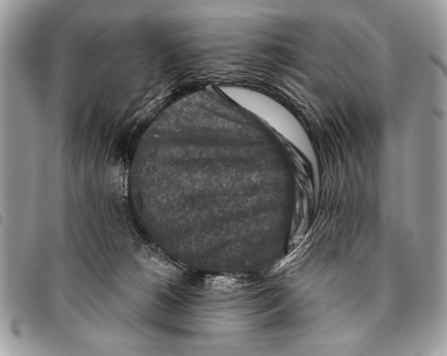 X0000095880180200802081103