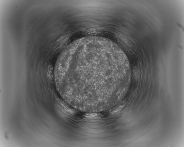 X0000095880181200802081103